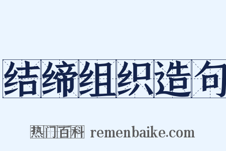 结缔组织造句是什么意思的图片